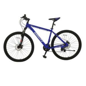 Bicicleta Todo Terreno Rodado 29 GRAVITY Glock 21 vel./Cuadro Aluminio